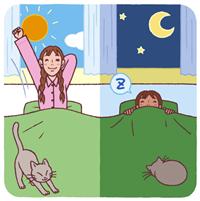 睡眠