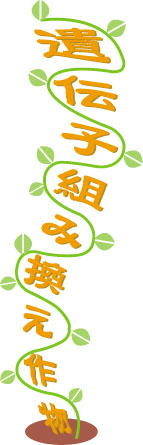 消費生活アドバイザー,受講,遺伝子組み換え食品,農産物,加工食品