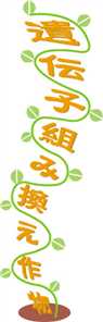 ޲ް,u,`qg݊Hi,_Y,HHi